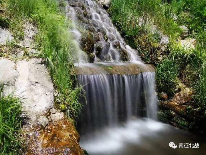 陈皮煮水加上它，是天然的“止咳方”，润肺化痰